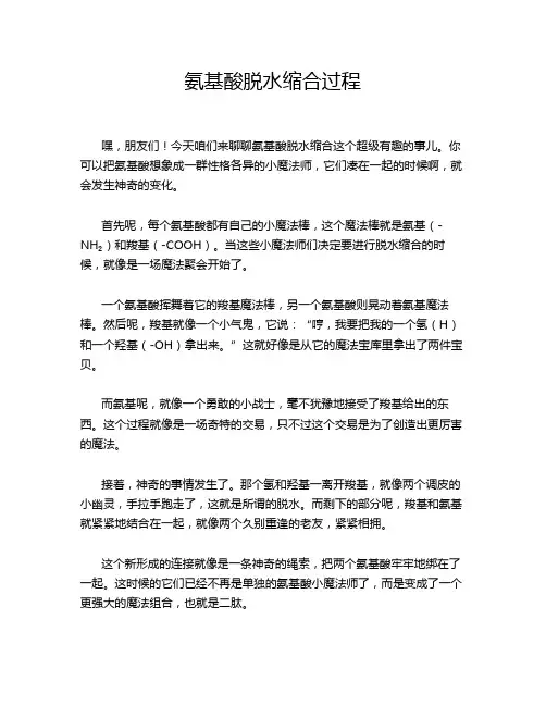 氨基酸脱水缩合过程