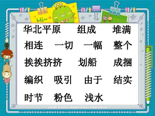 二年级下语文课件3 华北明珠白洋淀｜冀教版 (共15张PPT)