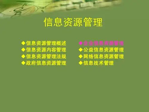 第五章企业信息资源管理