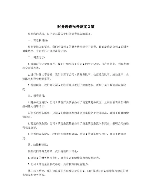 财务调查报告范文3篇
