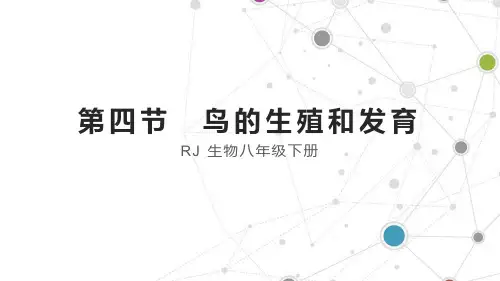八年级下册生物练习题 鸟的生殖和发育
