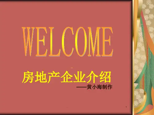 经典课件：十大房地产企业介绍