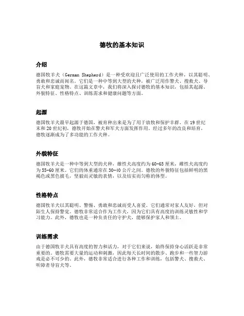 德牧的基本知识
