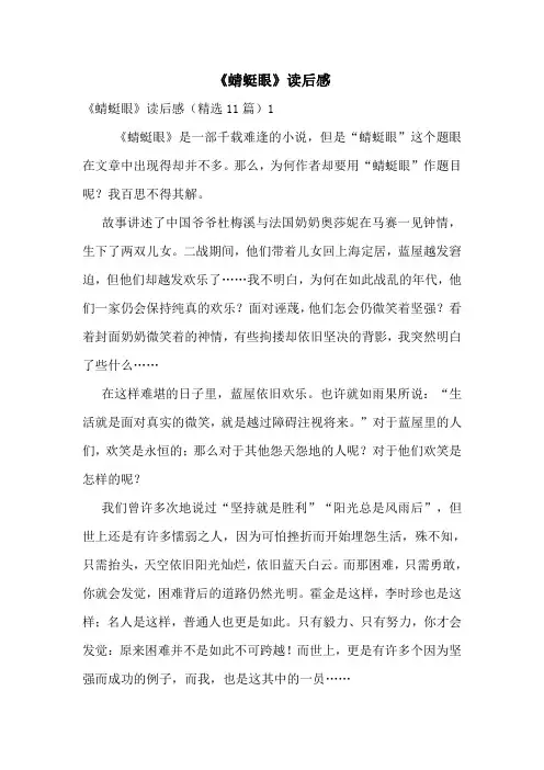 《蜻蜓眼》读后感