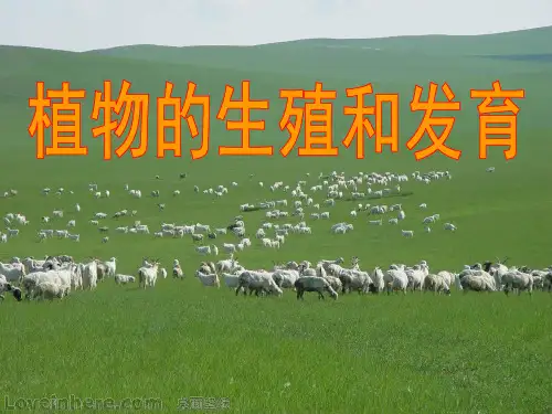 科学中考复习 四 生命的延续和进化[1].ppt