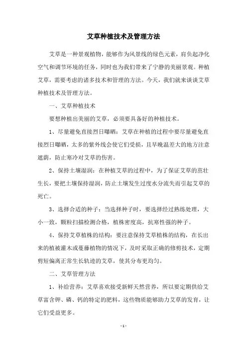 艾草种植技术及管理方法