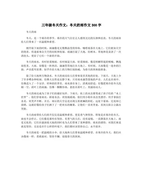 三年级冬天作文：冬天的雨作文300字 2