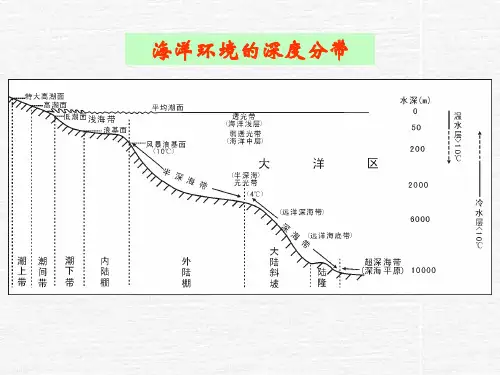 滨岸储层沉积学分析课件