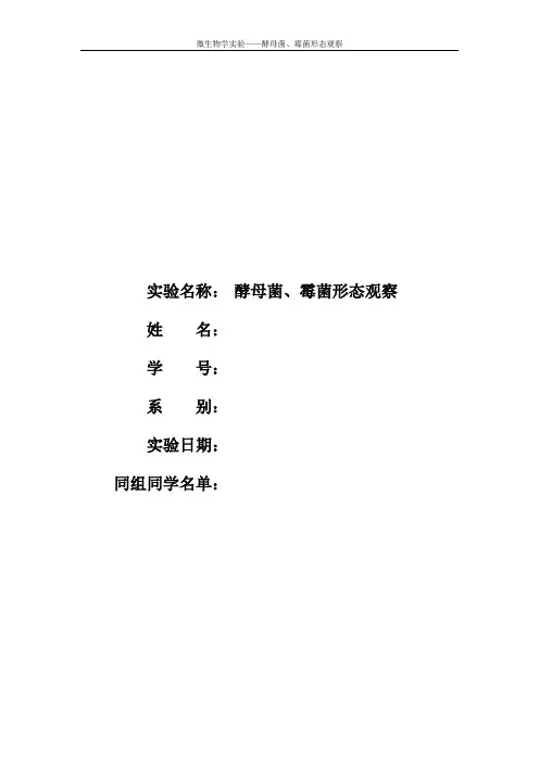 酵母菌、霉菌形态观察