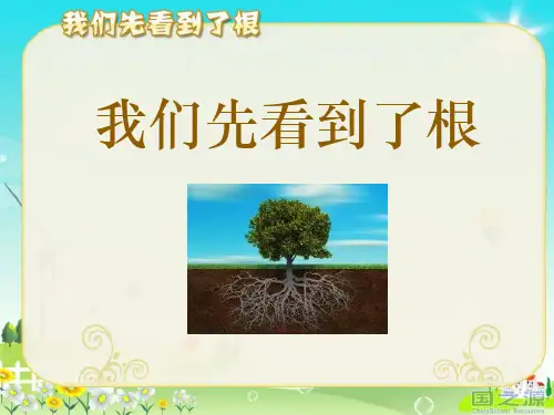 小学三年级下册科学 《我们先看到了根》植物的生长变化优质课件PPT