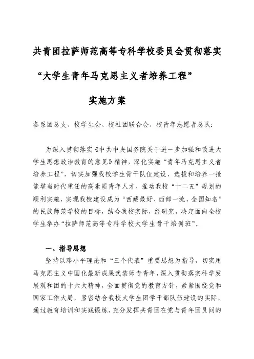 青马工程实施方案[整理]