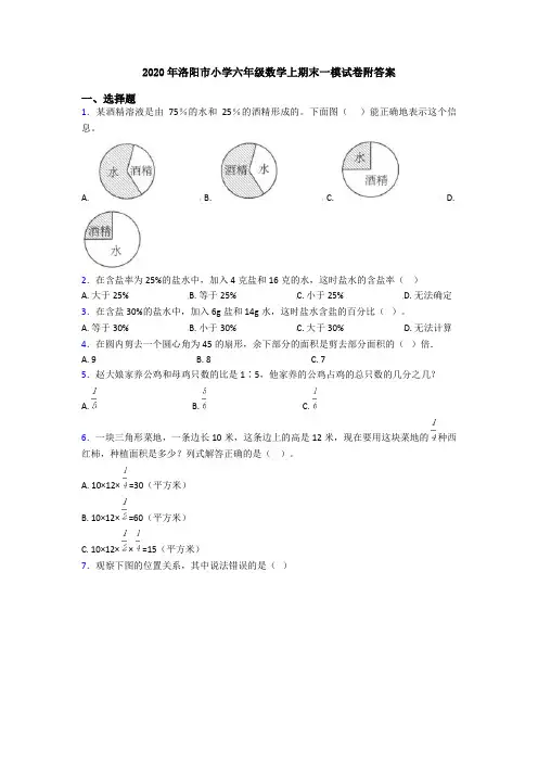 2020年洛阳市小学六年级数学上期末一模试卷附答案