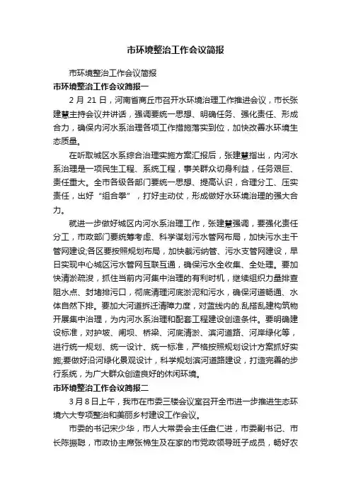市环境整治工作会议简报