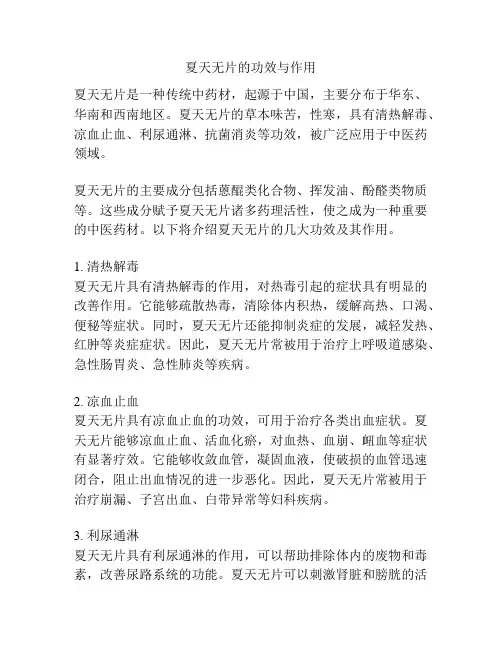夏天无片的功效与作用