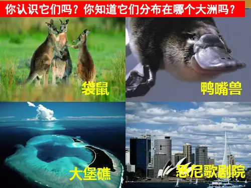大洋洲概述+课件-2023-2024学年七年级地理下学期粤人版
