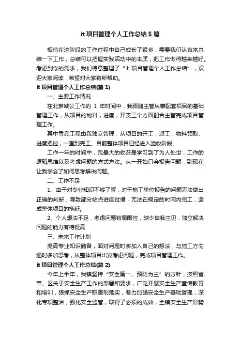 it项目管理个人工作总结5篇