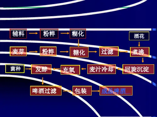 生物工艺学讲义啤酒完整版PPT