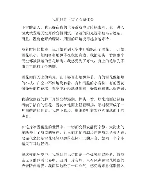 我的世界下雪了心得体会
