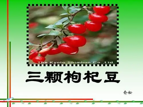 三颗枸杞豆PPT2 苏教版 (共18张PPT)