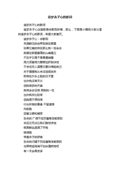 追梦赤子心的歌词