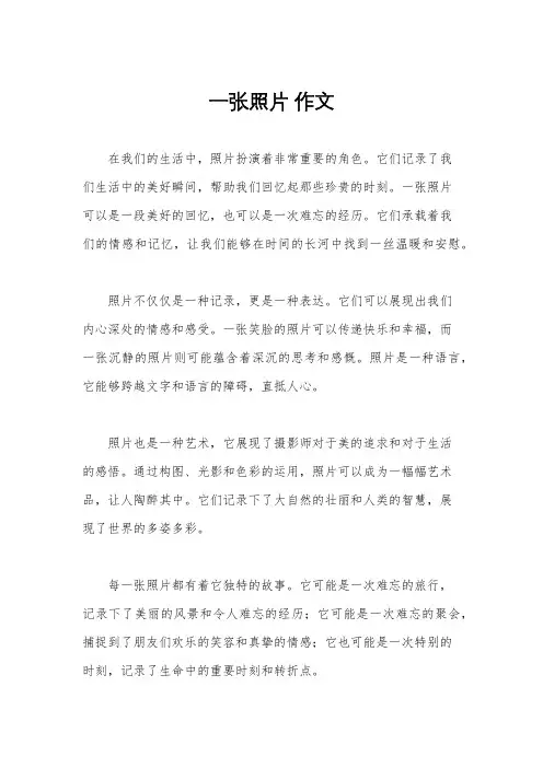 一张照片 作文