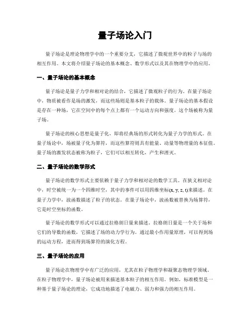 量子场论入门