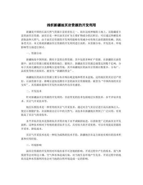 浅析新疆油页岩资源的开发利用