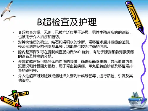 泌尿外科常用诊疗技术及护理PPT课件