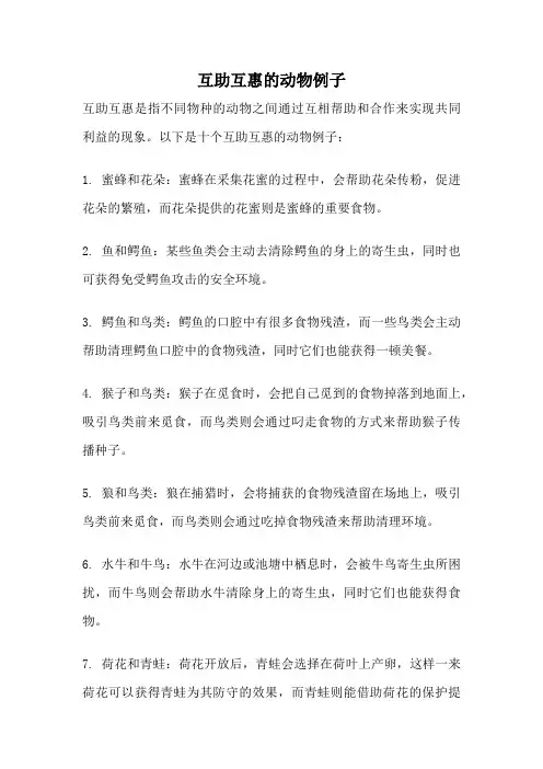 互助互惠的动物例子