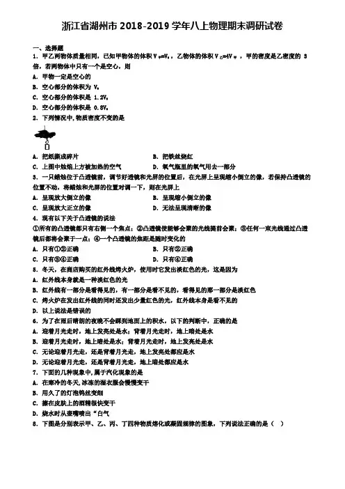 浙江省湖州市2018-2019学年八上物理期末调研试卷