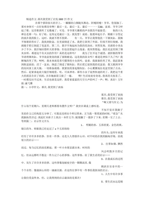 那次我受到了启发(600字)作文