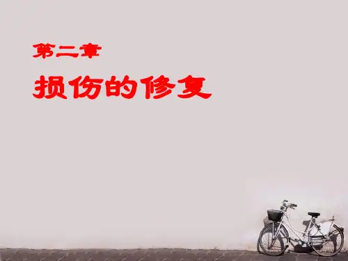 病理学损伤的修复 ppt课件