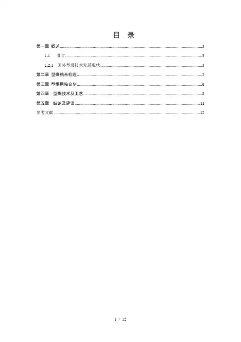 型煤技术的研究进展论文