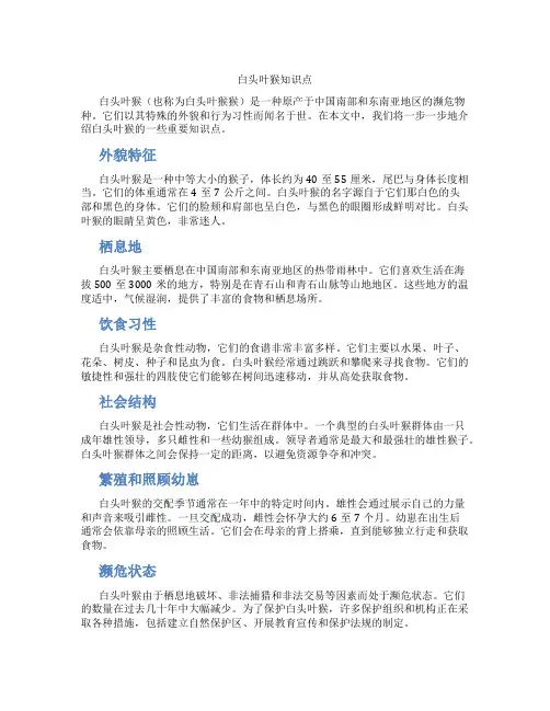 白头叶猴知识点