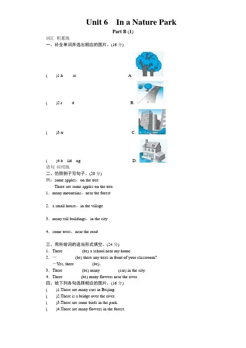 新人教版PEP五年级英语上册—unit6 In a nature park-PartB试题及答案