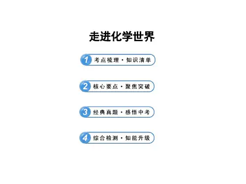 中考化学专题复习课件：走进化学世界