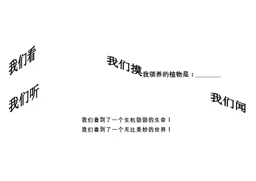 小学植物生长观察记录表