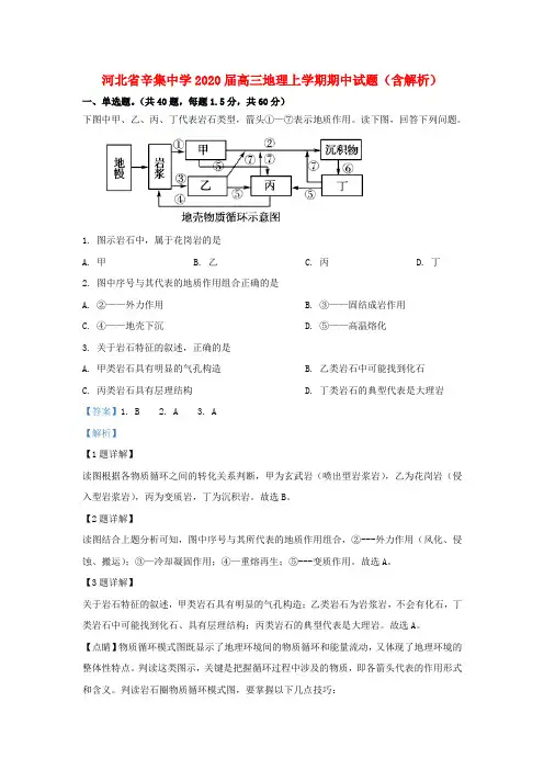 河北省辛集中学2020届高三地理上学期期中试题(含解析)