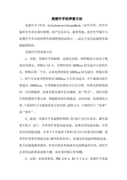 美丽竹芋的养殖方法