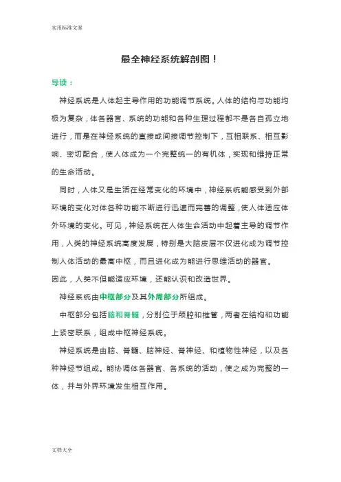 全面神经系统解剖图