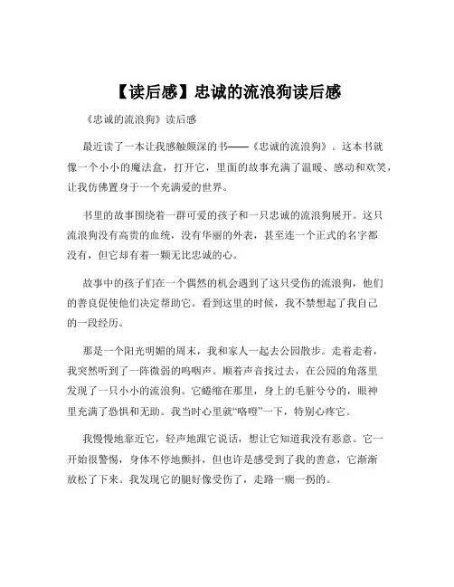 【读后感】忠诚的流浪狗读后感