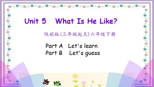 陕旅版六年级下册小学英语 Unit 5 单元全套教学课件PPT