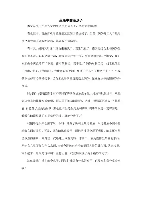 生活中的金点子_小学作文