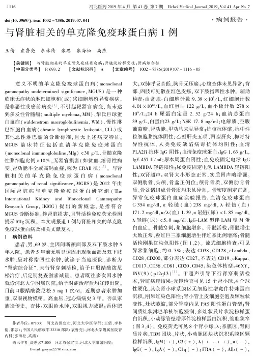 与肾脏相关的单克隆免疫球蛋白病1例