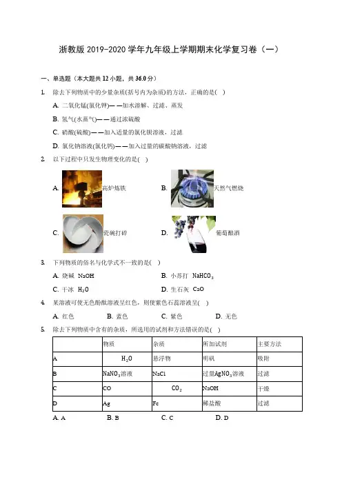 浙教版2019-2020学年九年级上学期期末化学复习卷(一) (附答案解析)
