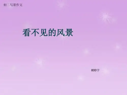 初二写景作文《看不见的风景》800字(总11页PPT)
