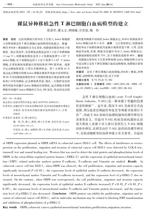 裸鼠异种移植急性T淋巴细胞白血病模型的建立