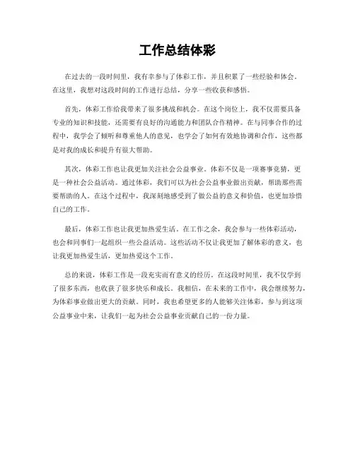 工作总结体彩