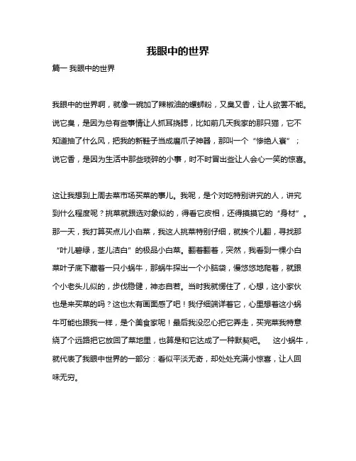 作文《我眼中的世界》