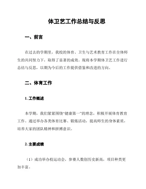 体卫艺工作总结与反思